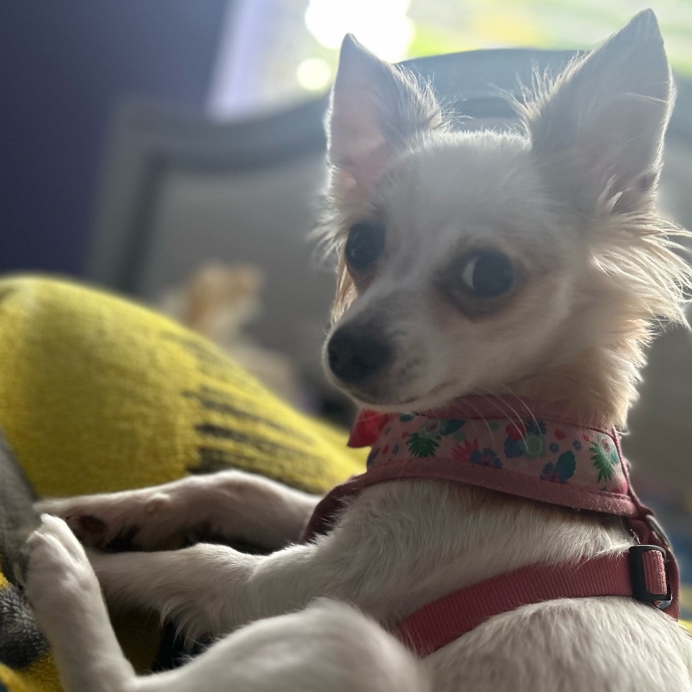 Meet your Posher, Christa